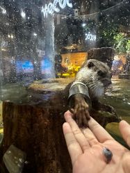 -Zoolung Zoolung动物主题公园(海信广场店)