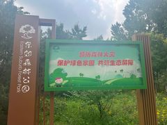 -东郊湿地公园
