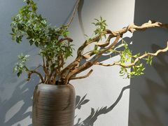 -淮安市博物馆
