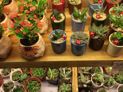 iphone_upload_pic-妃比花艺(光启城时尚购物中心店)