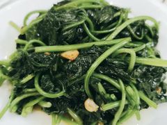 -陈记粤湛鸡饭店