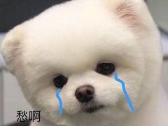 -CoCo都可(火车站东广场店)