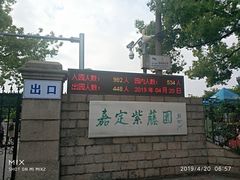 -嘉定紫藤园