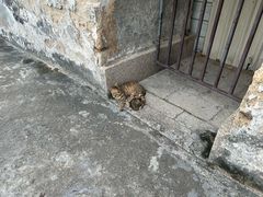 -石炮台公园