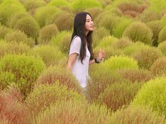 -映月湖中央公园