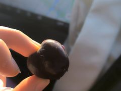 -肯德基(建德服务区北店)