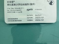 -北京观赏动物医院·24小时大型综合·猫专科·异宠专科