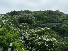 -福道