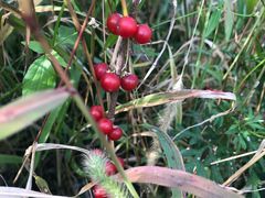 -长春公园(普阳街道)