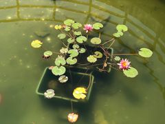 -石老人观光园