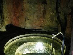 -海口观澜湖火山温泉谷