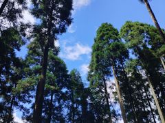 -明月山风景名胜区