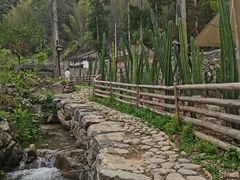 -MOJ coffee(瓯海泽雅水碓坑店)