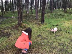 -硗碛藏寨·神木垒景区