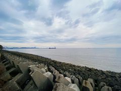 -上海滨江森林公园