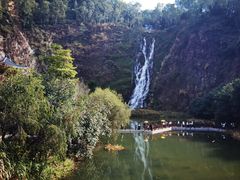 -水濂山森林公园