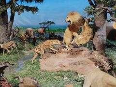 -国家自然博物馆