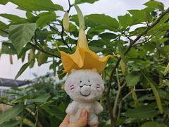 -国家植物园南园