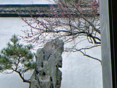 -杭州植物园