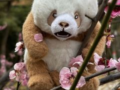 -栾川竹海野生动物园