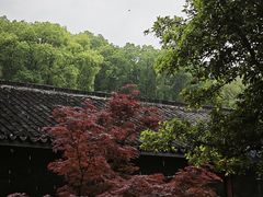 -无锡梅园公园