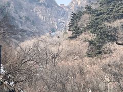 -泰山风景名胜区