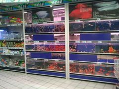 -大润发(王庄店)