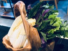 -东椰·海南椰子鸡火锅(朝阳门店)