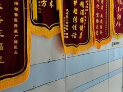 -中农国际动物医院24小时·猫科·骨科·急重症中心