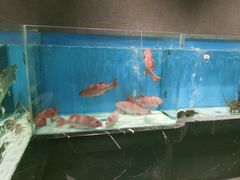 -许家菜.艺创菜(仁和新城店)