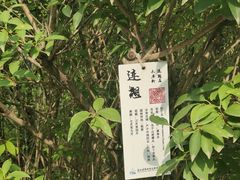 -翠湖国家城市湿地公园