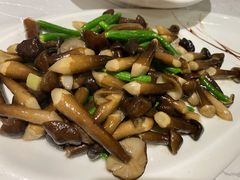 乳瓜鸡枞菌-马凯餐厅(长椿街店)