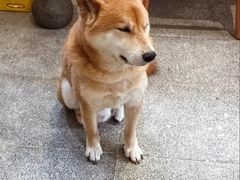 -三目仓咖啡(贤南路店)