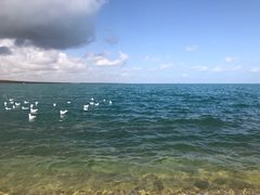 -青海湖国家重点风景名胜区