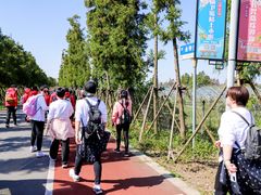 -上海长兴岛郊野公园