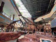 -安徽省地质博物馆