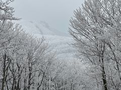 -安吉龙王山风景区