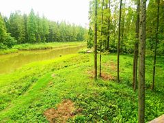 -黄海国家森林公园