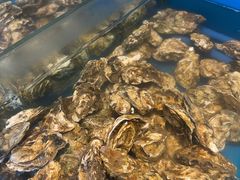 现捞贝类-火舞泰·泰式海鲜火锅餐厅(世纪城店)