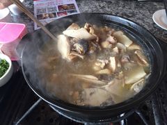 -蘑统田下·野生菌火锅