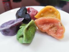 -百好乐宠物友好餐厅(朝外大街店)