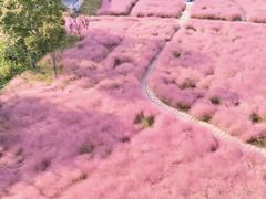 -威高广场