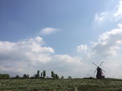 -紫颐香薰山谷景区