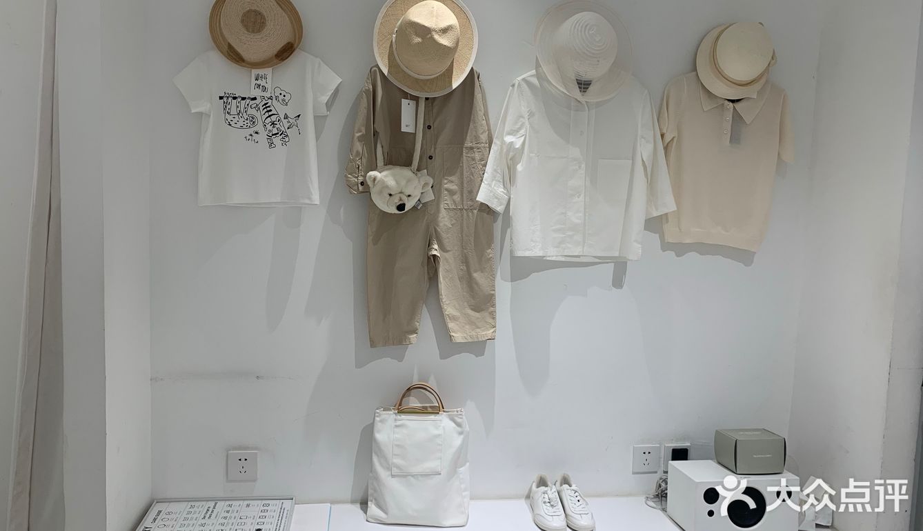 白色蒲公英的约定