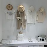 白色蒲公英的约定