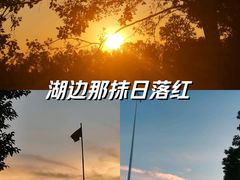 -武汉紫薇都市田园