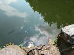 -三塔倒影公园