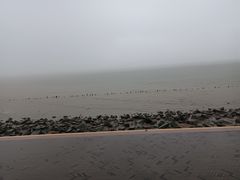 -深圳湾公园(南山区)