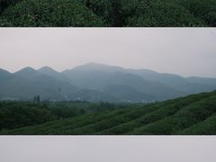 -径山花海