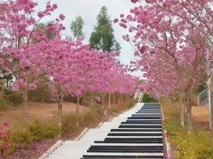 -盈香心动乐园